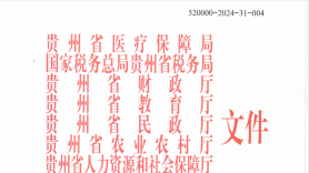 贵州省医保局等九部门关于健全贵州省基本医疗保险参保长效机制的实施意见（黔医保发【2024】18号）